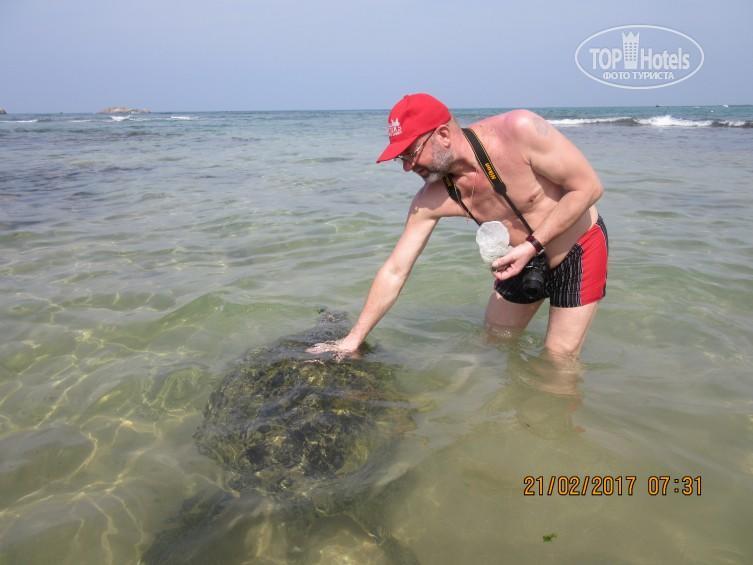 אמבלנגודה Ramon Beach Resort מראה חיצוני תמונה